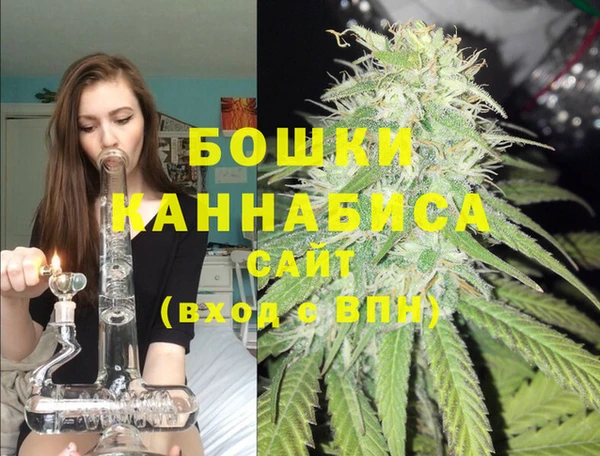 дмт Новокубанск