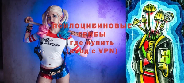 молекула духа Новодвинск