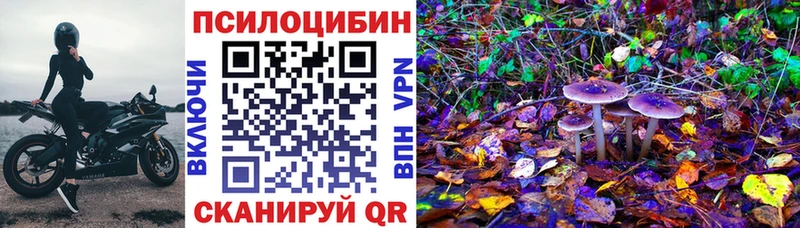 Псилоцибиновые грибы Psilocybine cubensis  как найти закладки  Сухой Лог 